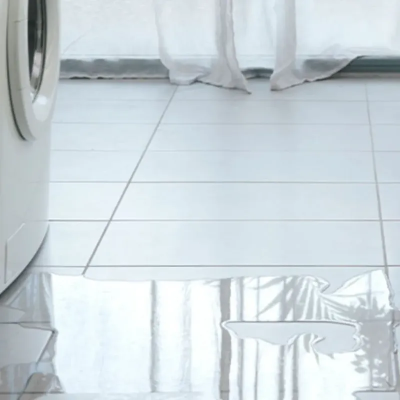Appliance Leak Cleanup in Emeryville, CA
